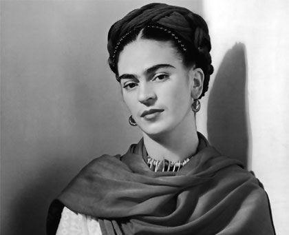 Frida füveskönyve – a regény